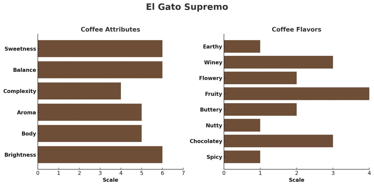 COLOMBIA EL GATO SUPREMO