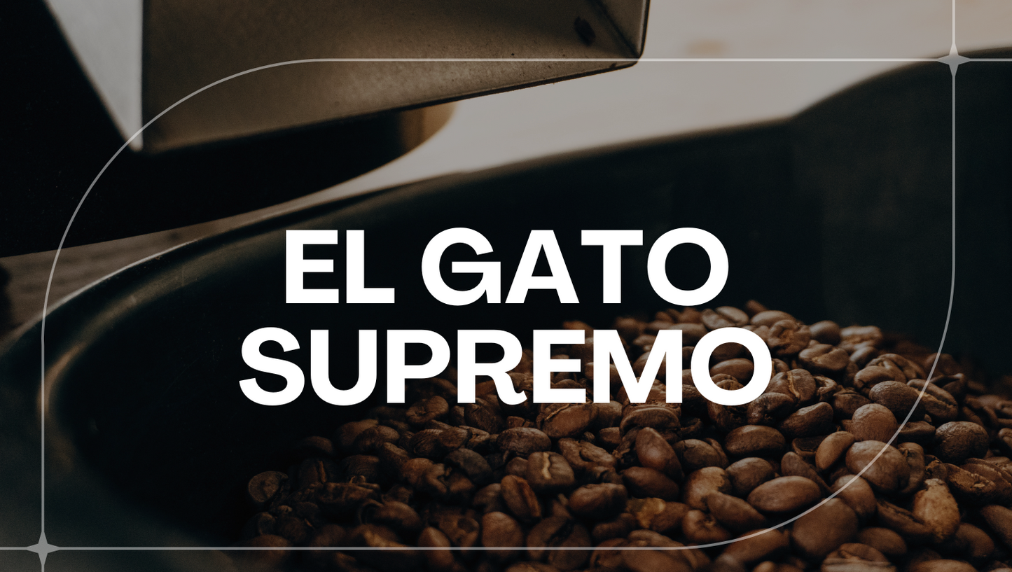 COLOMBIA EL GATO SUPREMO