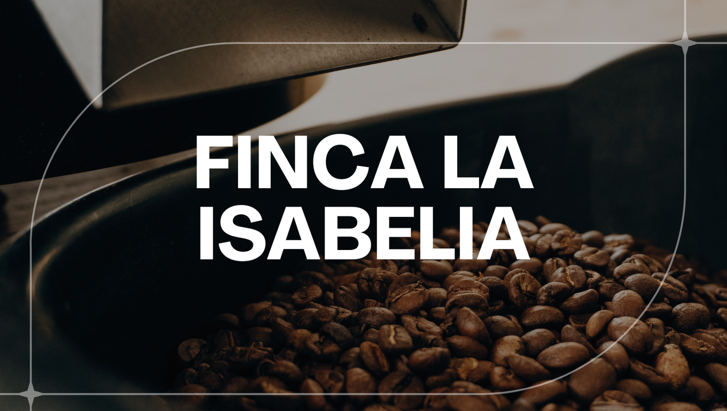 NICARAGUA FINCA LAS ISABELIA