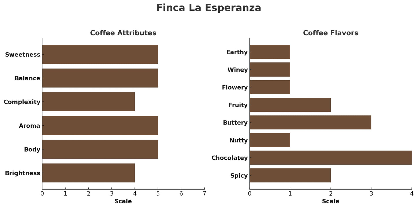 EL SALVADOR FINCA LA ESPERANZA