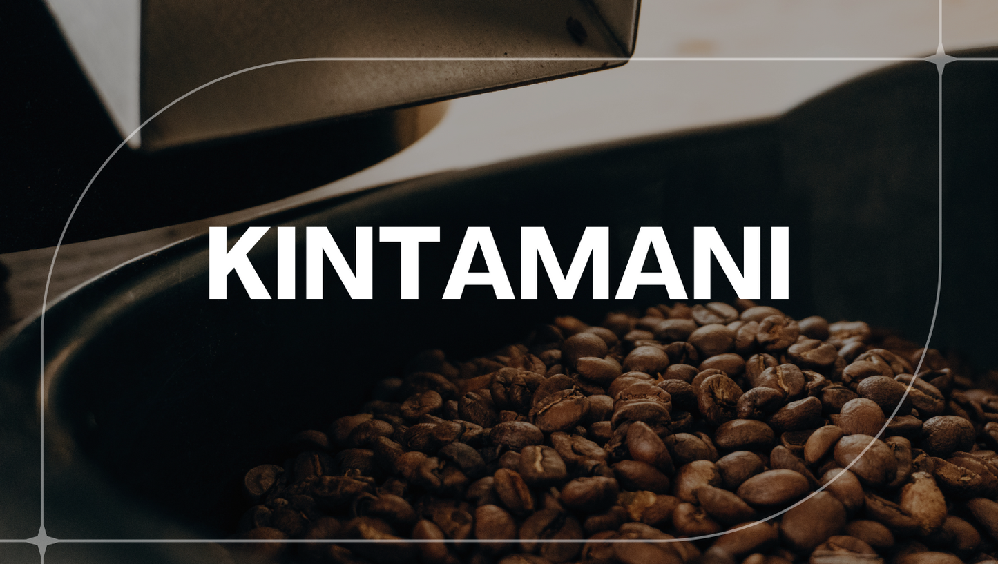BALI KINTAMANI