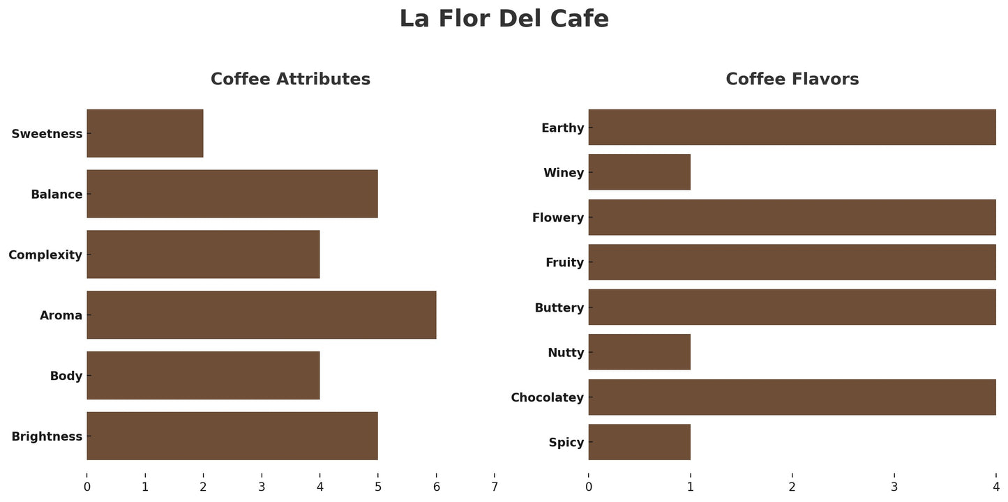 GUATEMALA LA FLOR DEL CAFÉ – ANTIGUA