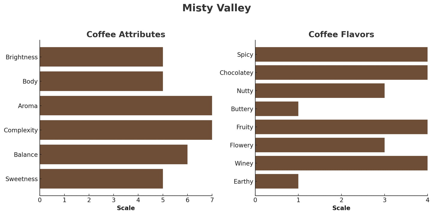 ETHIOPIA MISTY VALLEY – GRADE 1 YIRGACHEFFE