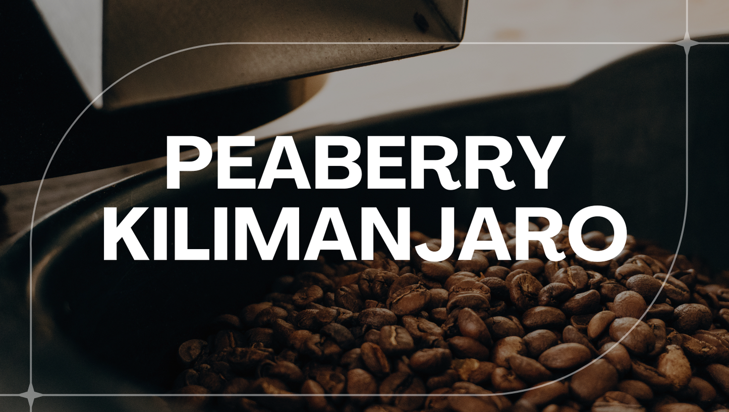 TANZANIA PEABERRY KILIMANJARO