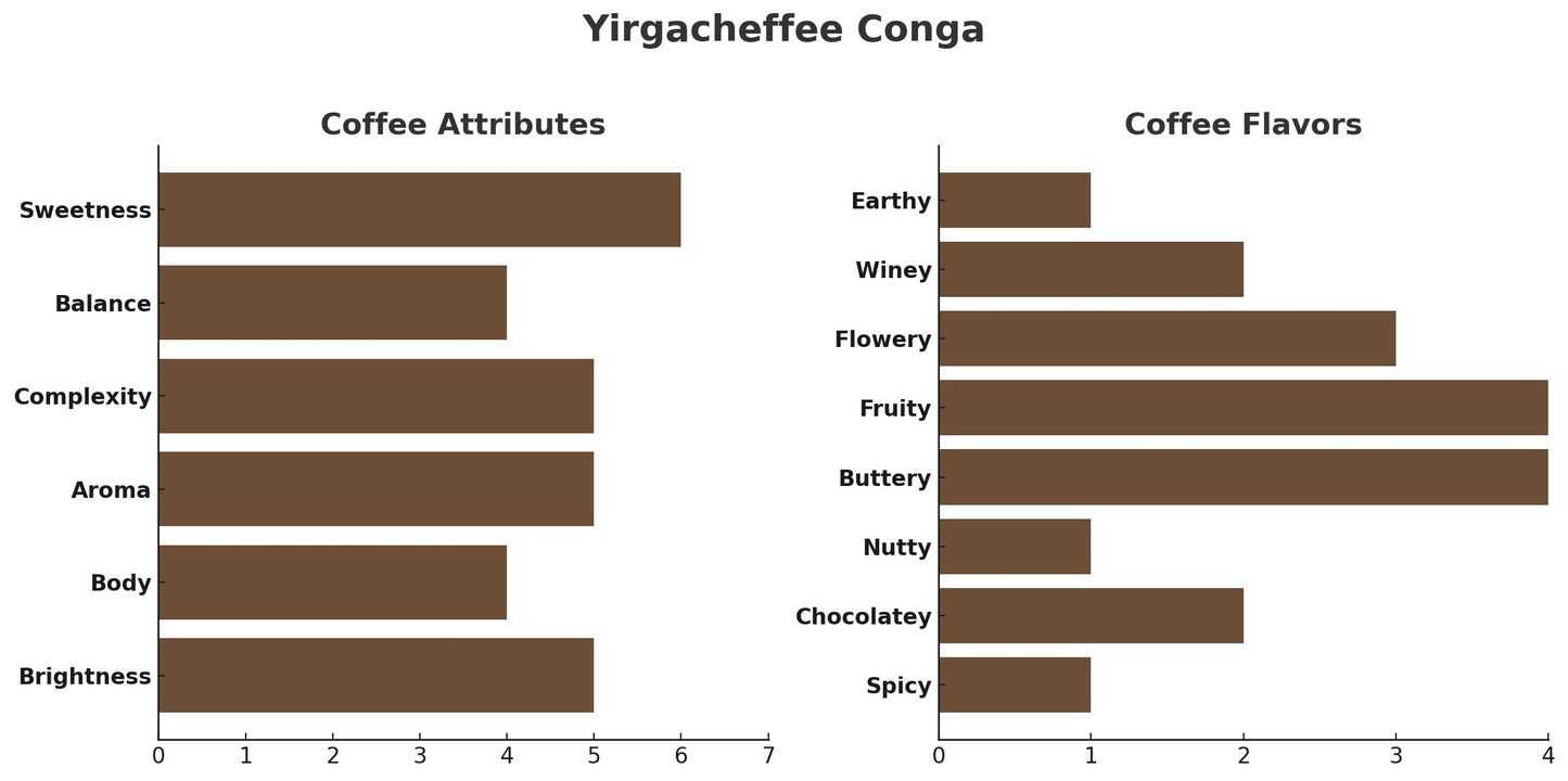 ETHIOPIA YIRGACHEFFE KONGA – GRADE 1 (FT)