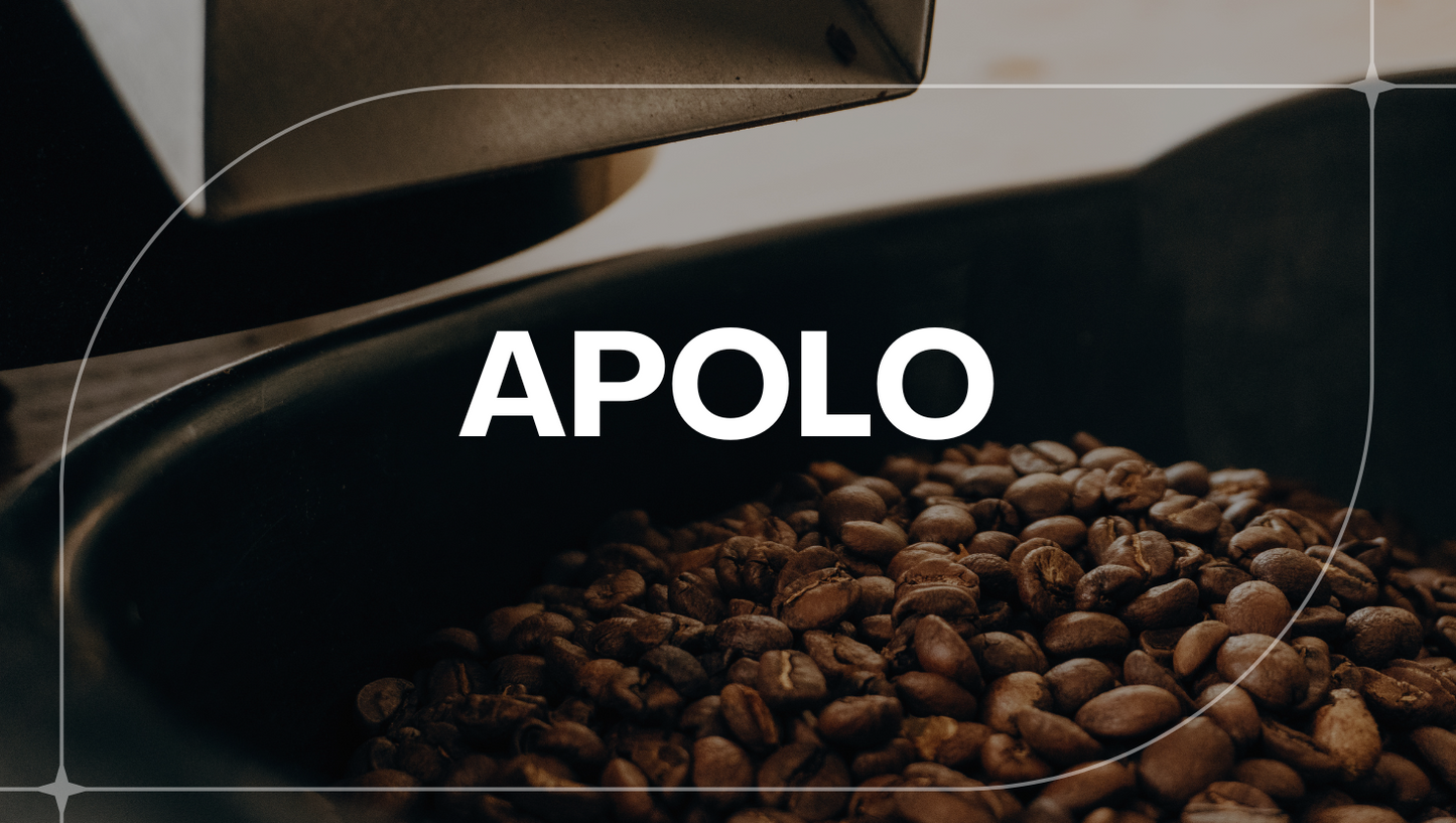 BOLIVIA APOLO