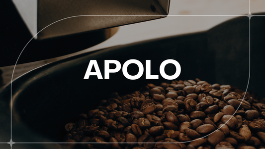 BOLIVIA APOLO