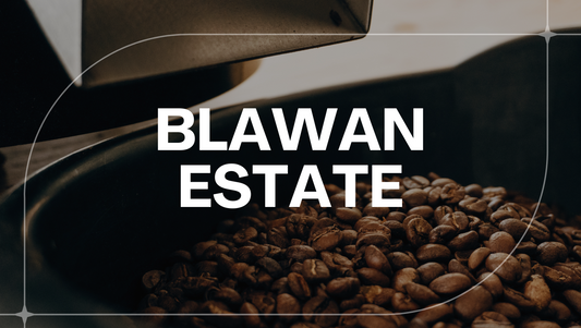 JAVA BLAWAN ESTATE