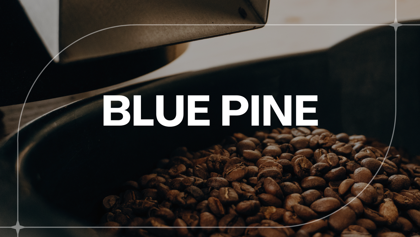 HAITI BLUE PINE