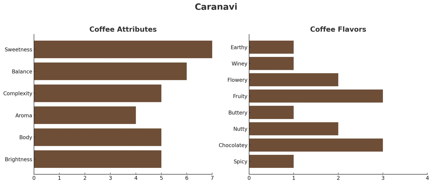 BOLIVIA ORGANIC CARANAVI FTO