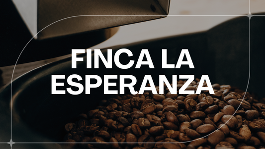 PERU FINCA LA ESPERANZA