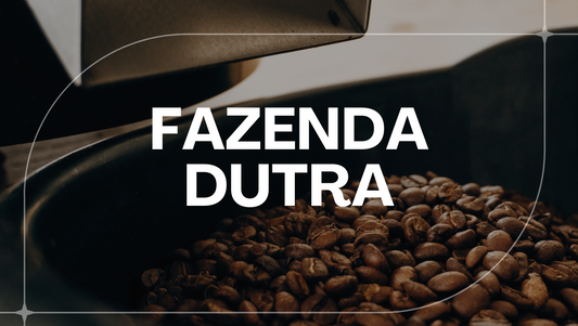 BRAZIL FAZENDA DUTRA