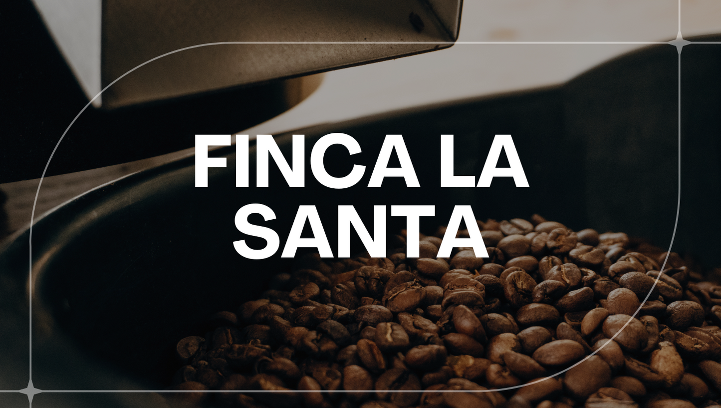 PANAMA FINCA LA SANTA
