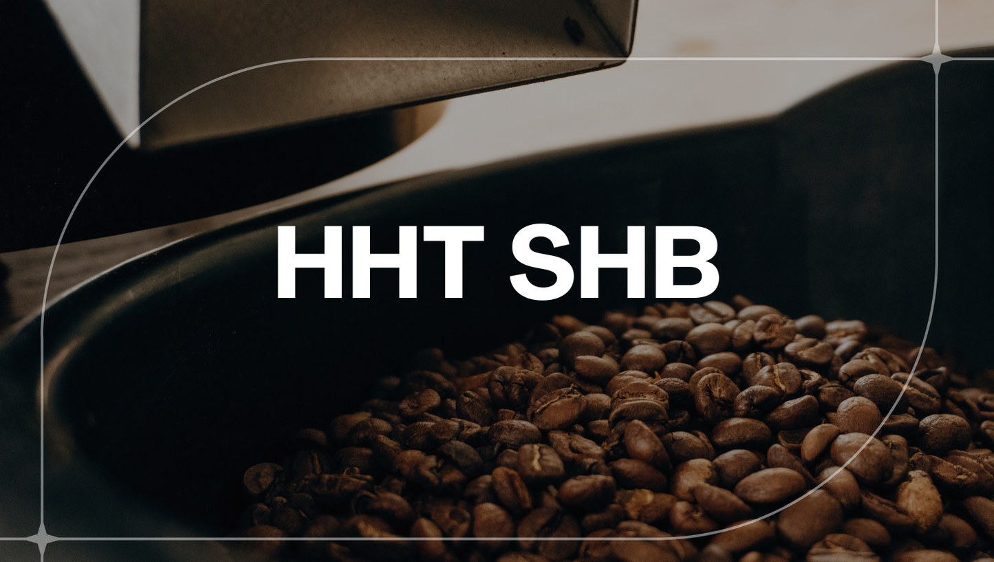 GUATEMALA HHT SHB