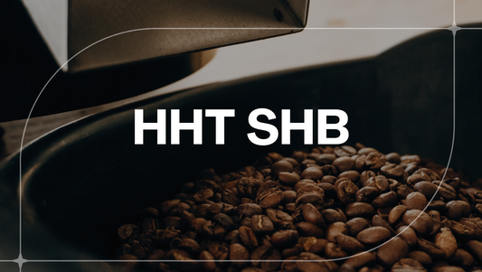 GUATEMALA HHT SHB