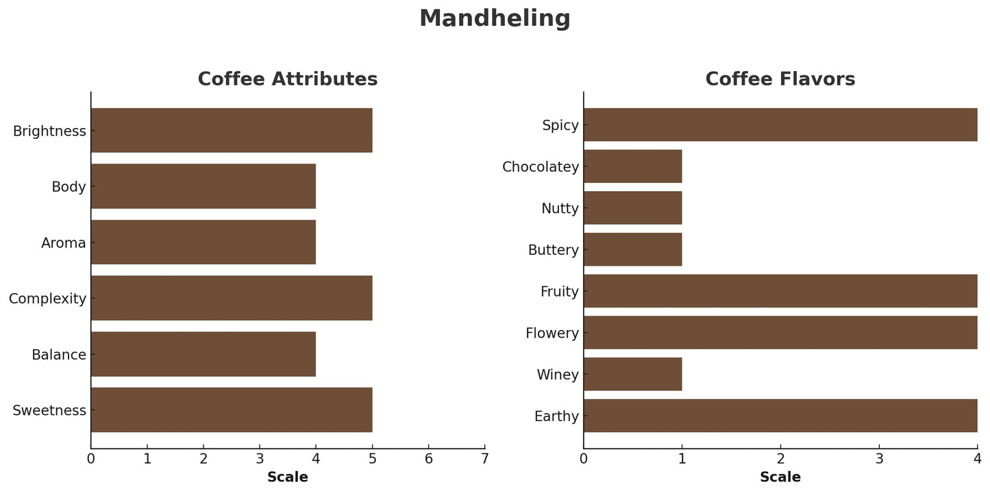 SUMATRA MANDHELING