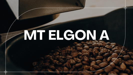 UGANDA MT ELGON A