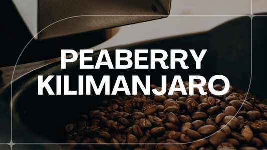 TANZANIA PEABERRY KILIMANJARO