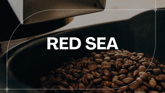 BLEND RED SEA