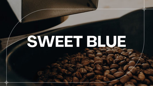 BRAZIL SWEET BLUE